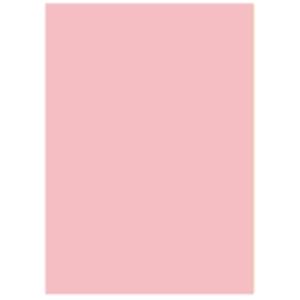 北越製紙 カラーペーパー/リサイクルコピー用紙 【A5 500枚×10冊】 日本製 ピンク 送料無料！